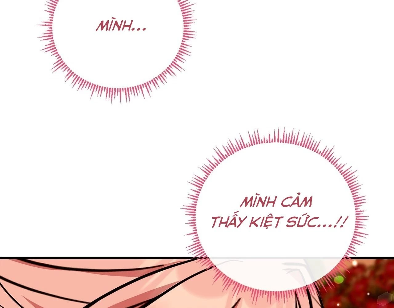 Không Bao Giờ Trở Về Gia Đình Đã Bỏ Rơi Tôi Chapter 77 - 109