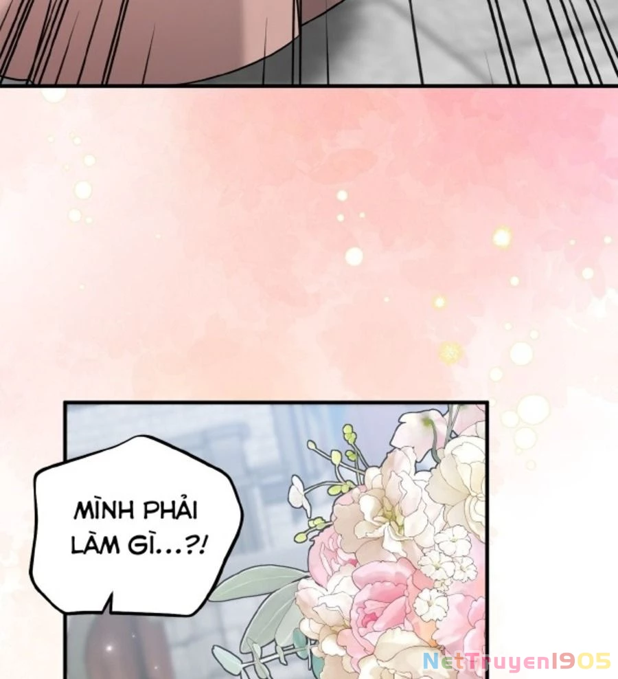 Không Bao Giờ Trở Về Gia Đình Đã Bỏ Rơi Tôi Chapter 80 - 82