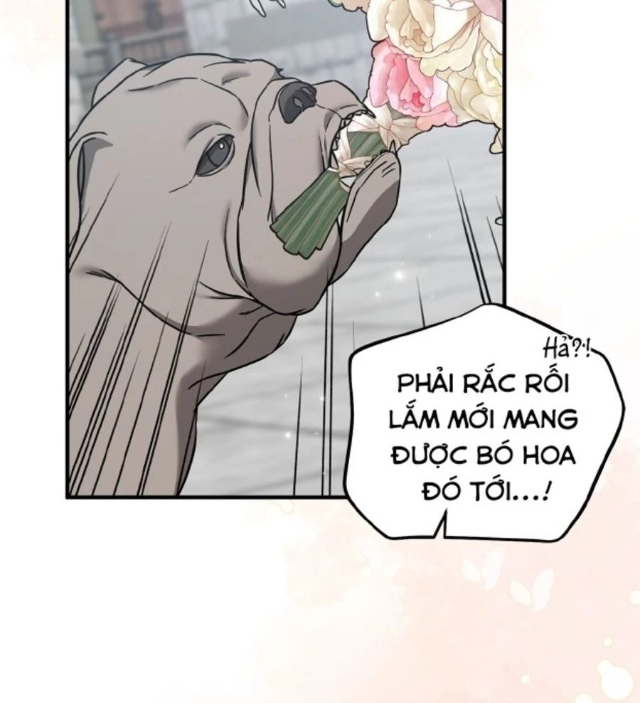 Không Bao Giờ Trở Về Gia Đình Đã Bỏ Rơi Tôi Chapter 80 - 83