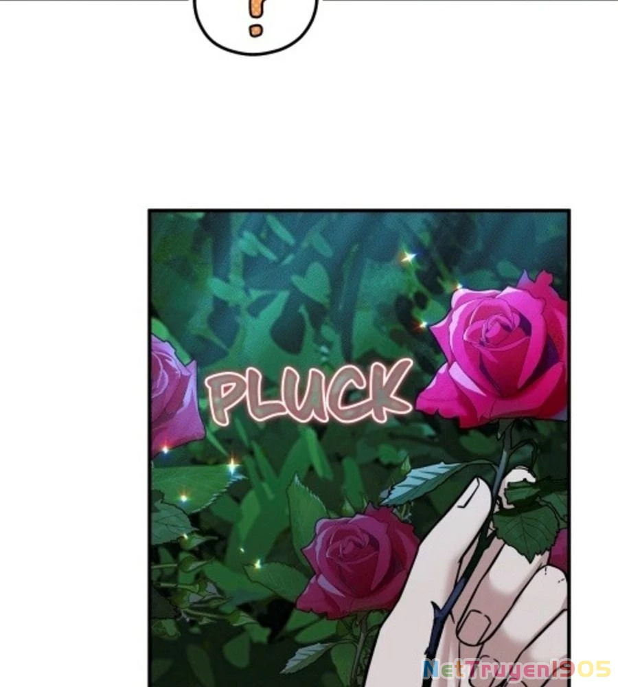 Không Bao Giờ Trở Về Gia Đình Đã Bỏ Rơi Tôi Chapter 81 - 16