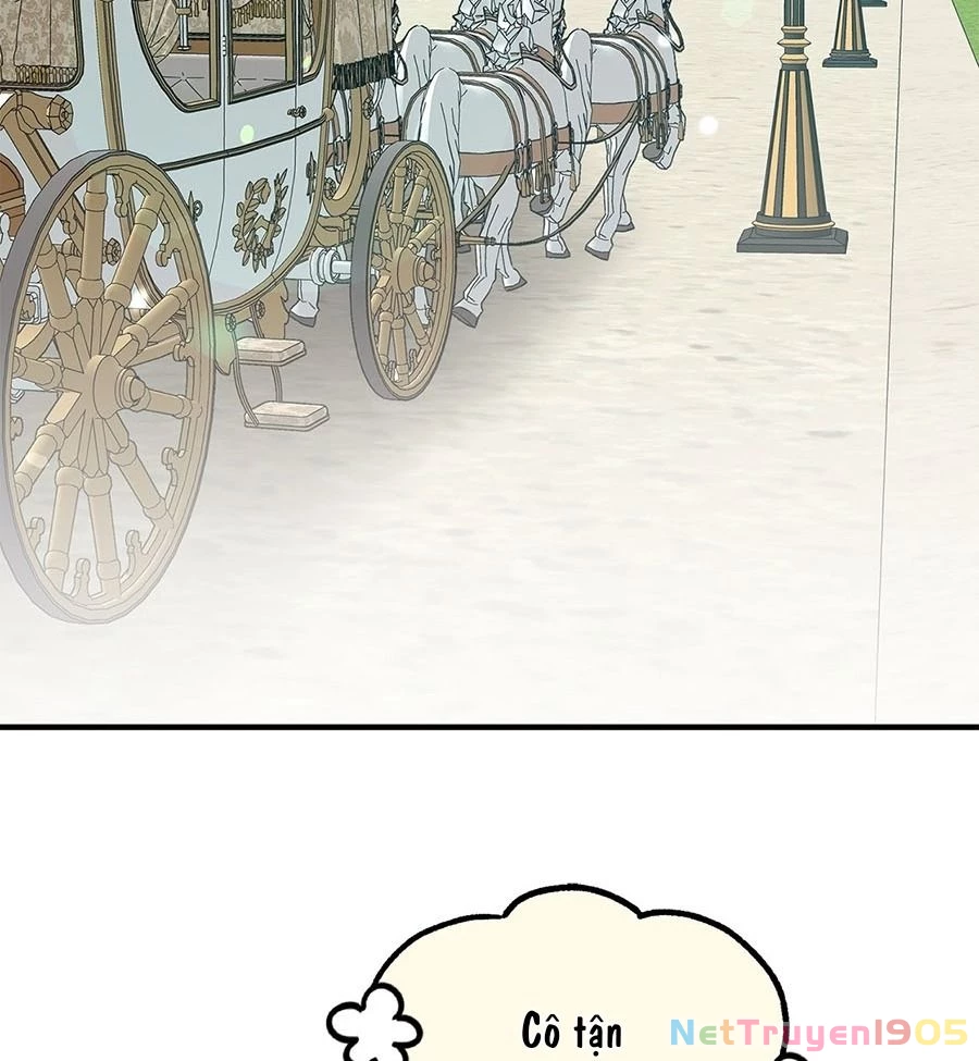 Không Bao Giờ Trở Về Gia Đình Đã Bỏ Rơi Tôi Chapter 84 - 59