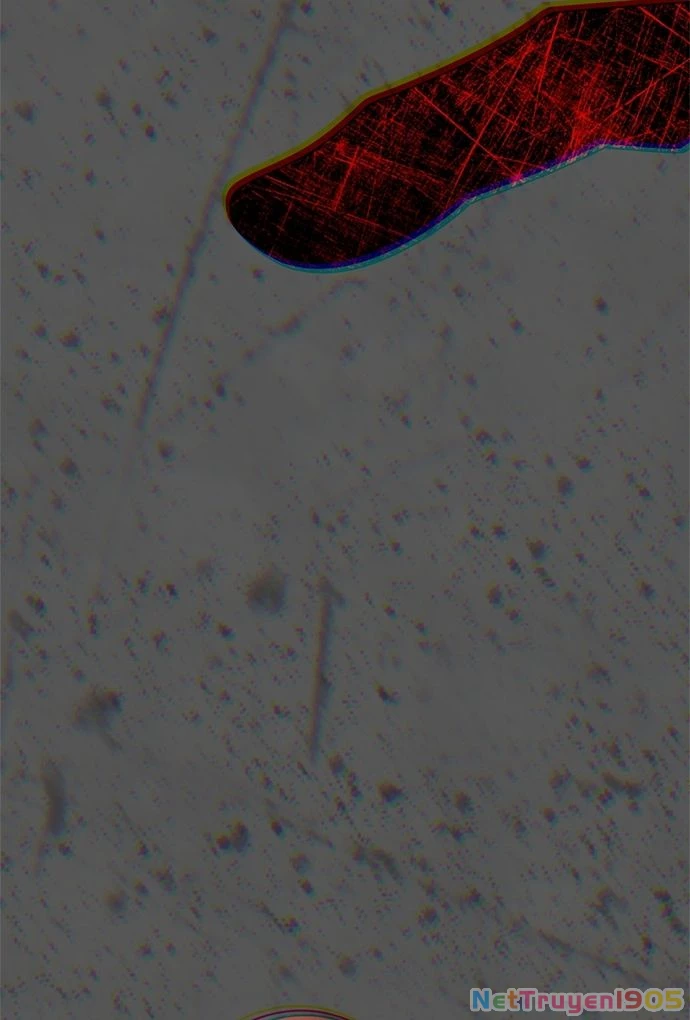 Chị Gái À, Kiếp Này Em Chính Là Nữ Hoàng Chapter 112 - 12