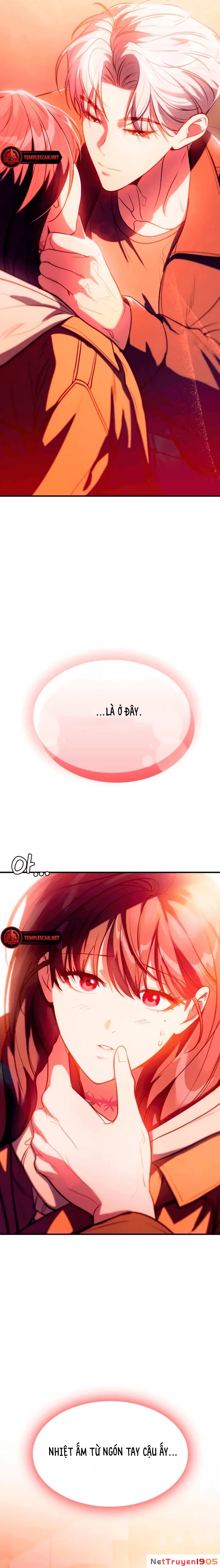 Truy Tìm Vương Miện Chapter 3 - 11