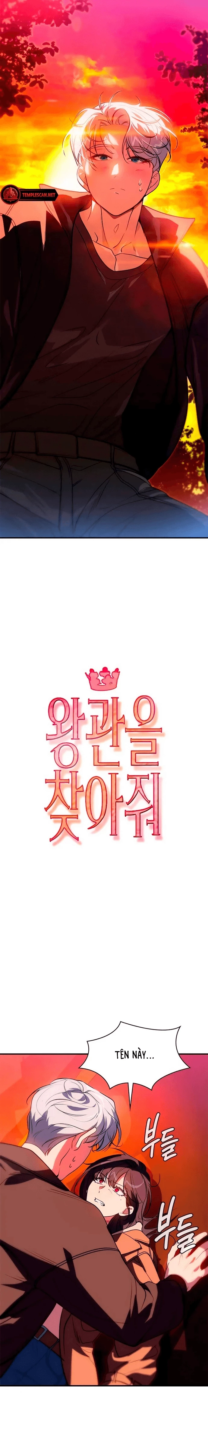 Truy Tìm Vương Miện Chapter 4 - 11