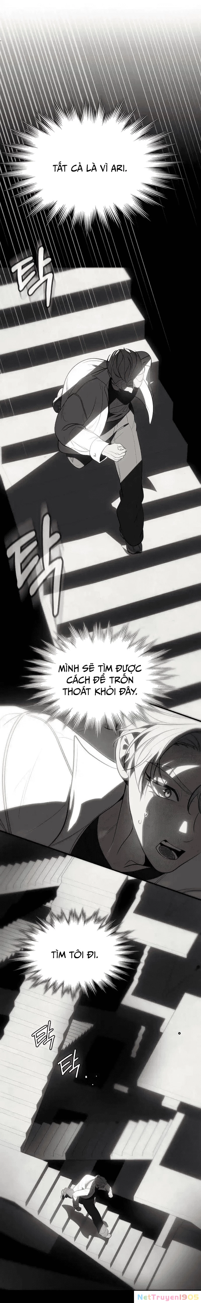 Truy Tìm Vương Miện Chapter 13 - 31