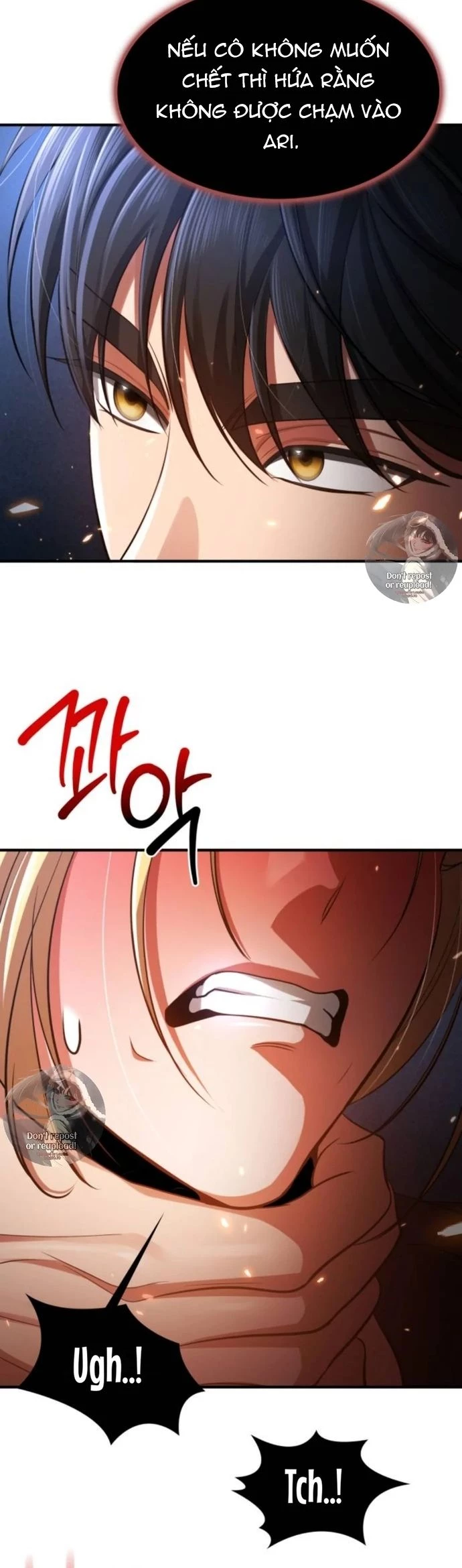 Truy Tìm Vương Miện Chapter 34 - 41