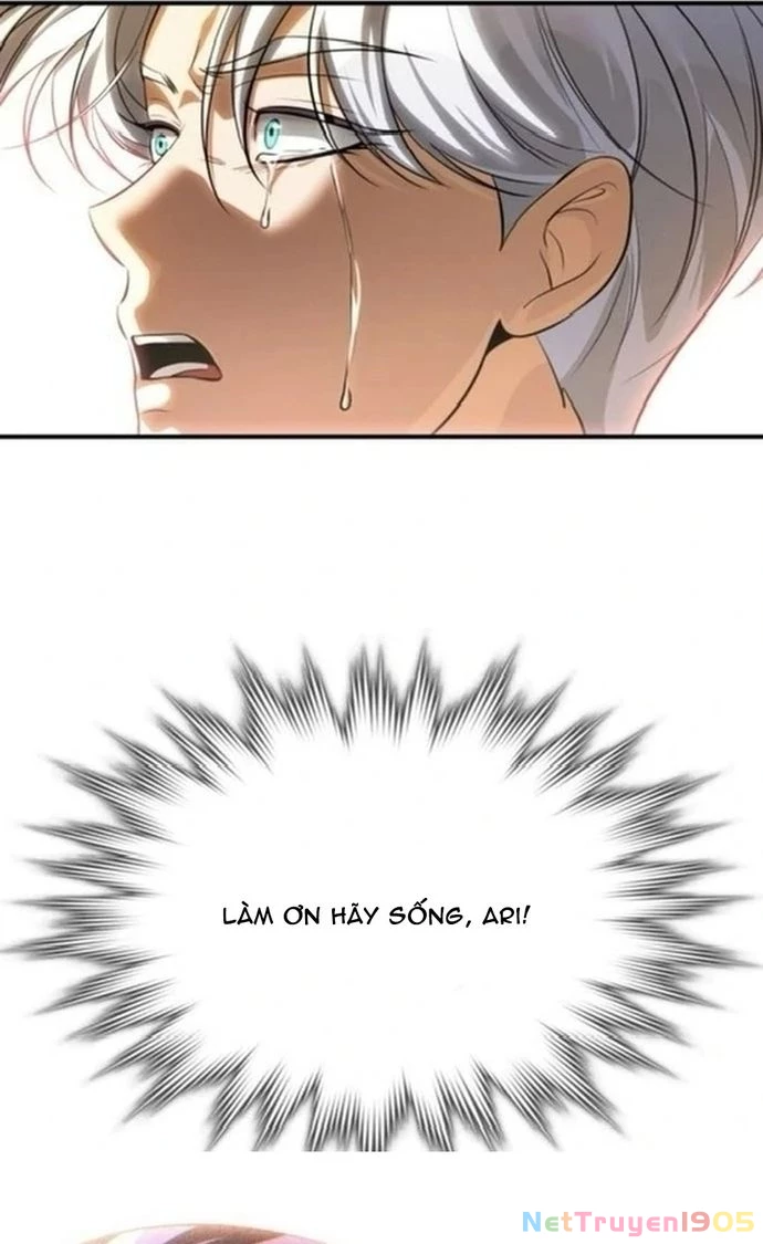 Truy Tìm Vương Miện Chapter 45 - 48