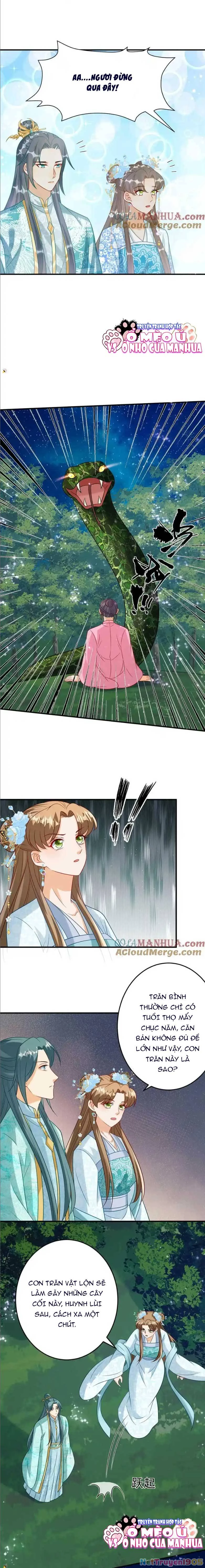 Thiên Tài Manh Bảo , Mẫu Thân Nghịch Thiên Bật Hack Rồi! Chapter  78 - 3