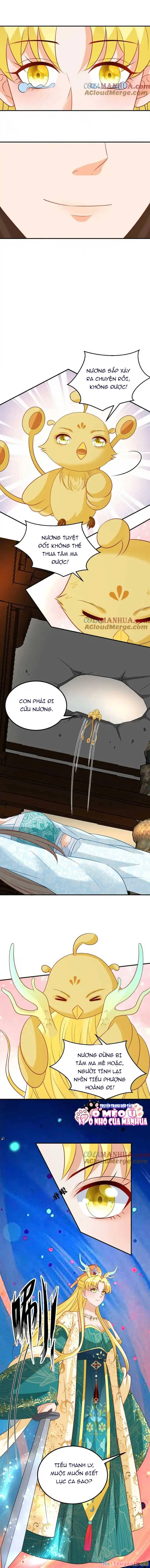 Thiên Tài Manh Bảo , Mẫu Thân Nghịch Thiên Bật Hack Rồi! Chapter  84 - 2