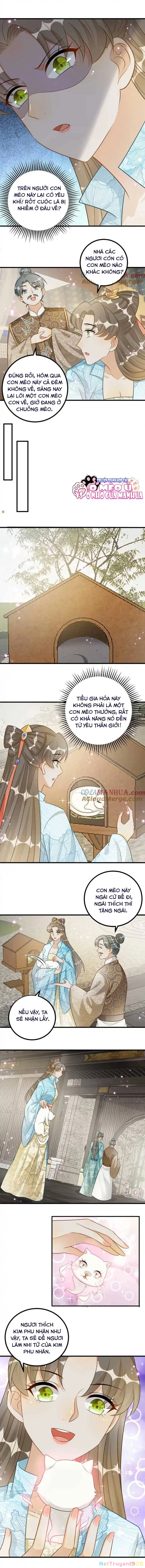 Thiên Tài Manh Bảo , Mẫu Thân Nghịch Thiên Bật Hack Rồi! Chapter  110 - 2