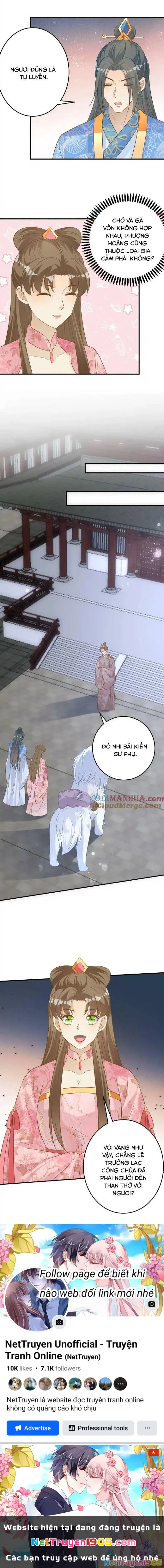 Thiên Tài Manh Bảo , Mẫu Thân Nghịch Thiên Bật Hack Rồi! Chapter  138 - 6