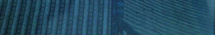 Ta Học Trảm Thần Trong Bệnh Viện Tâm Thần Chapter 258 - 78