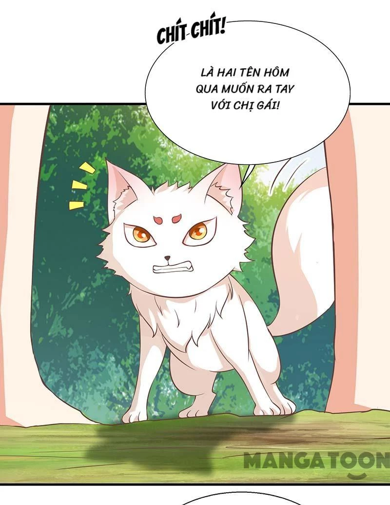 Thú Thế Cuồng Phi: Bất Đương Dị Giới Nữ Hải Vương Chapter 72 - 11