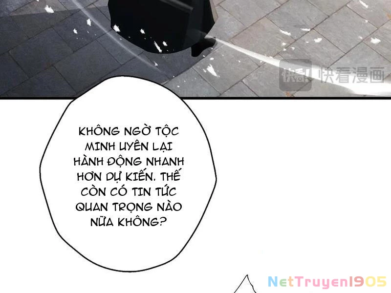 Gặp Mạnh Thì Mạnh, Ta Tu Vi Vô Thượng Hạn Chapter 62 - 41