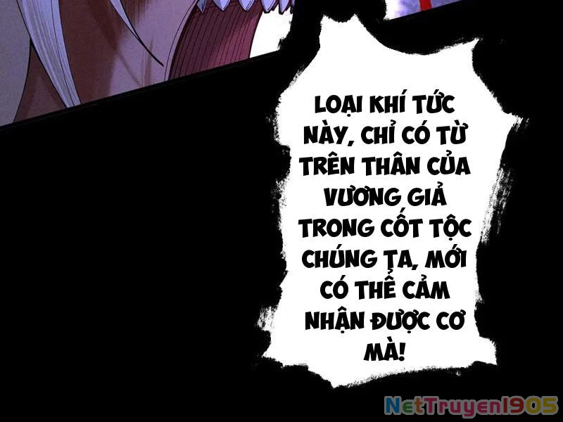 Gặp Mạnh Thì Mạnh, Ta Tu Vi Vô Thượng Hạn Chapter 62 - 125