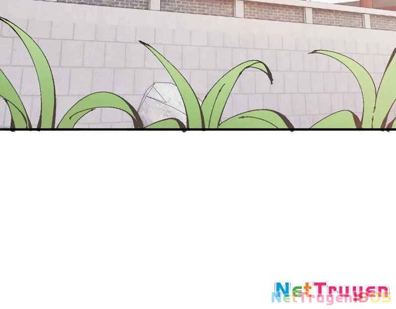 Sư Tôn: Nghịch Đồ Này Mới Không Phải Là Thánh Tử Chapter 137 - 41