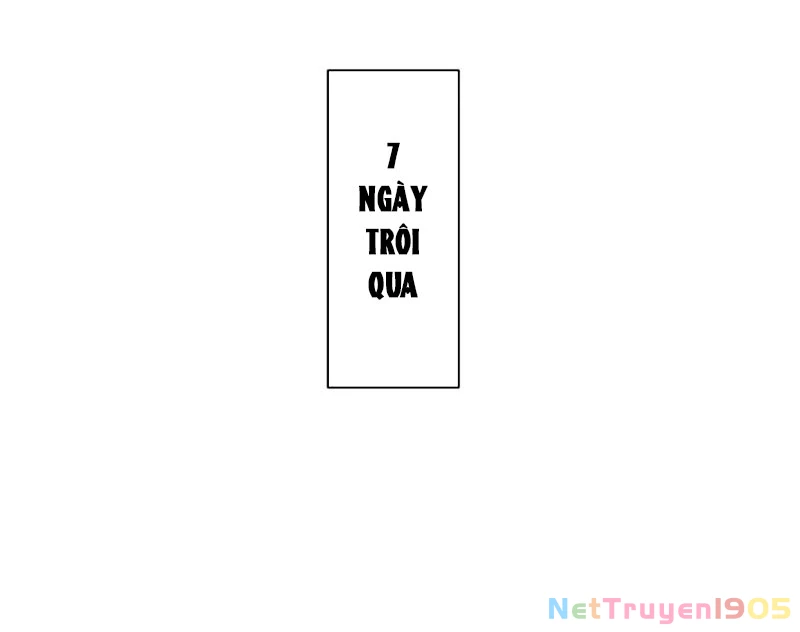 Sư Tôn: Nghịch Đồ Này Mới Không Phải Là Thánh Tử Chapter 138 - 108