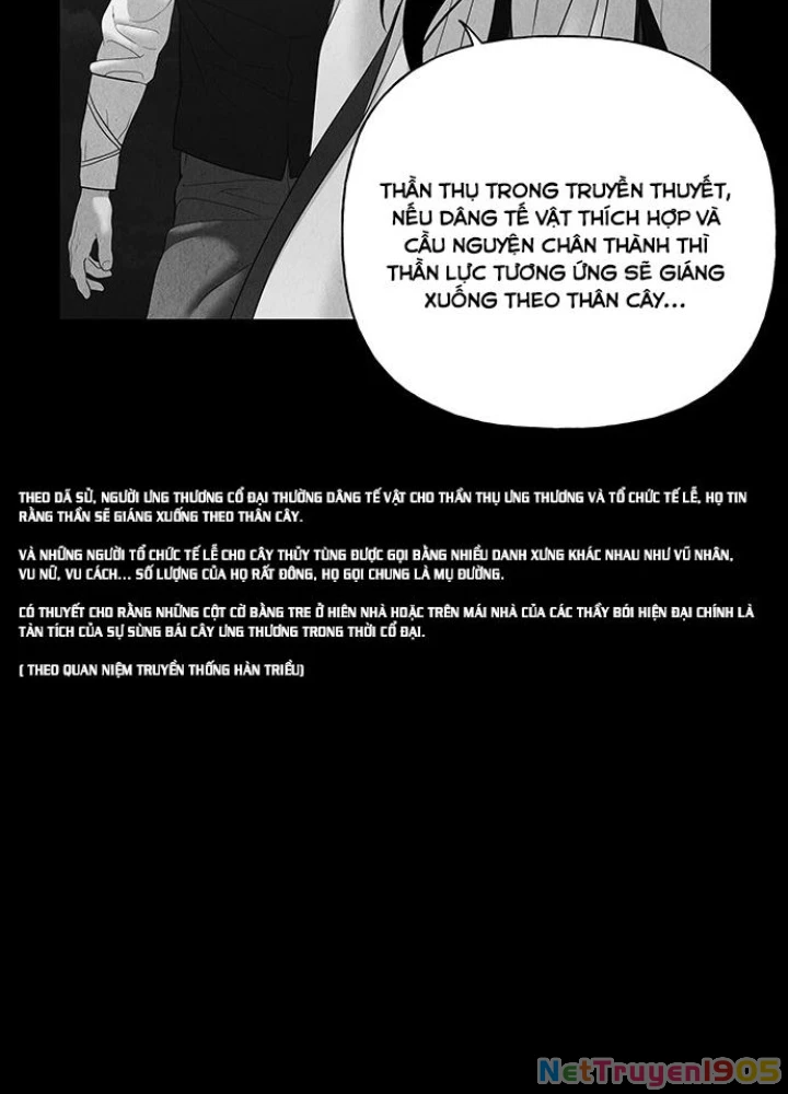 Cửa Hàng Đồ Cổ Tương Lai Chapter 51 - 151