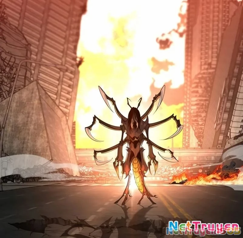 Healer Cấp S Chữa Trị Cho Quái Vật Chapter 2 - 41