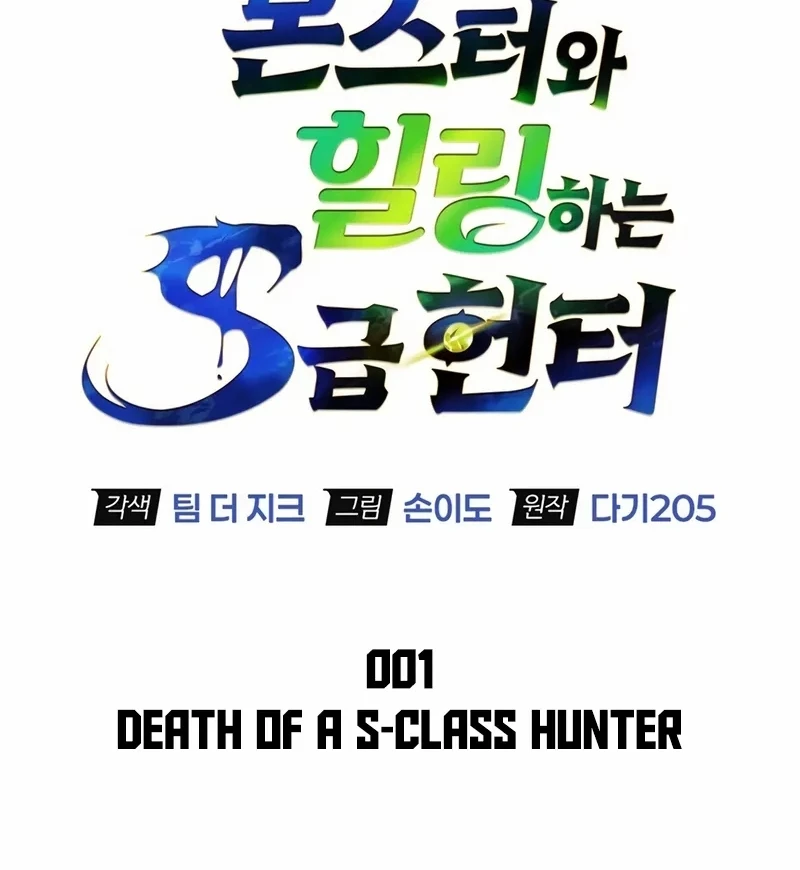 Healer Cấp S Chữa Trị Cho Quái Vật Chapter 2 - 69