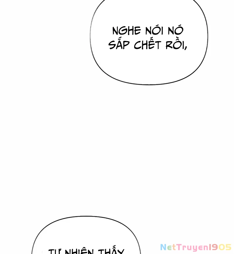 Healer Cấp S Chữa Trị Cho Quái Vật Chapter 2 - 180
