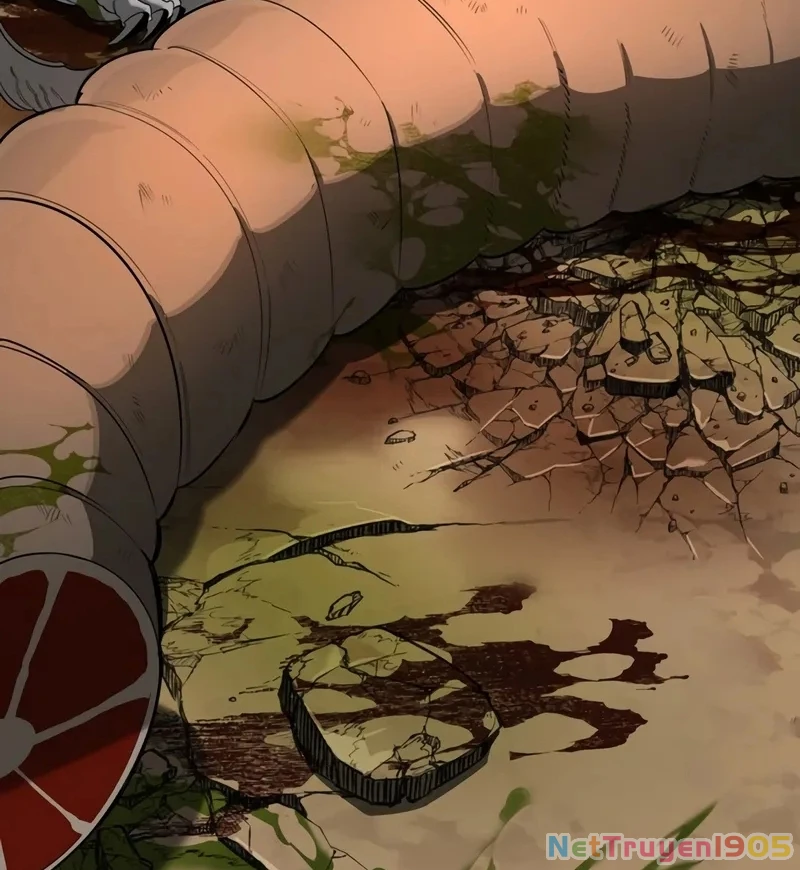 Healer Cấp S Chữa Trị Cho Quái Vật Chapter 2 - 222