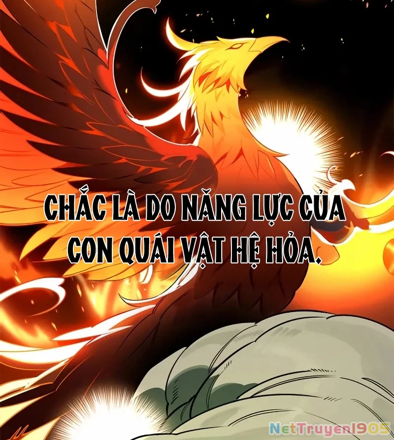 Healer Cấp S Chữa Trị Cho Quái Vật Chapter 3 - 12