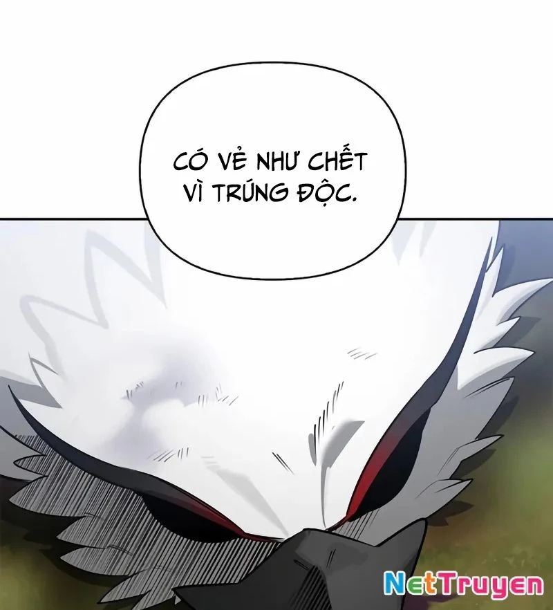 Healer Cấp S Chữa Trị Cho Quái Vật Chapter 3 - 71