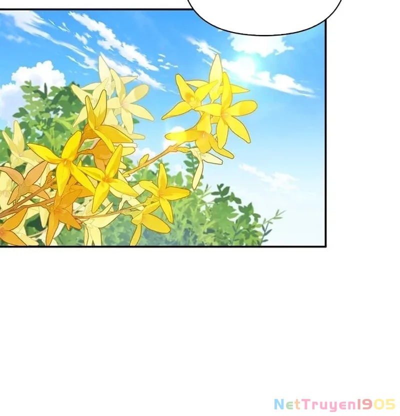 Healer Cấp S Chữa Trị Cho Quái Vật Chapter 4 - 2