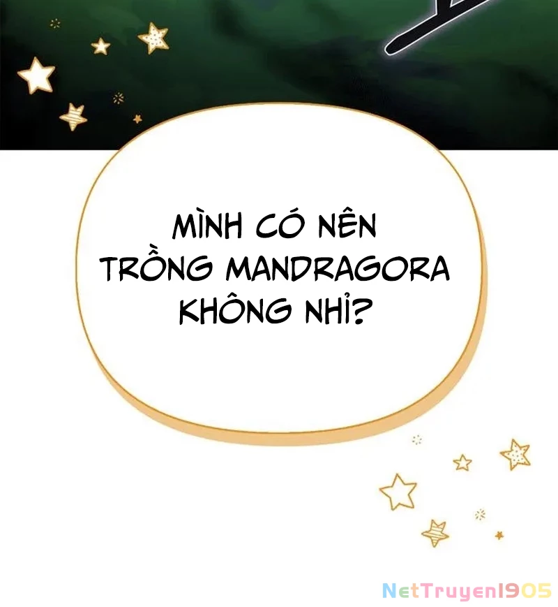 Healer Cấp S Chữa Trị Cho Quái Vật Chapter 4 - 74