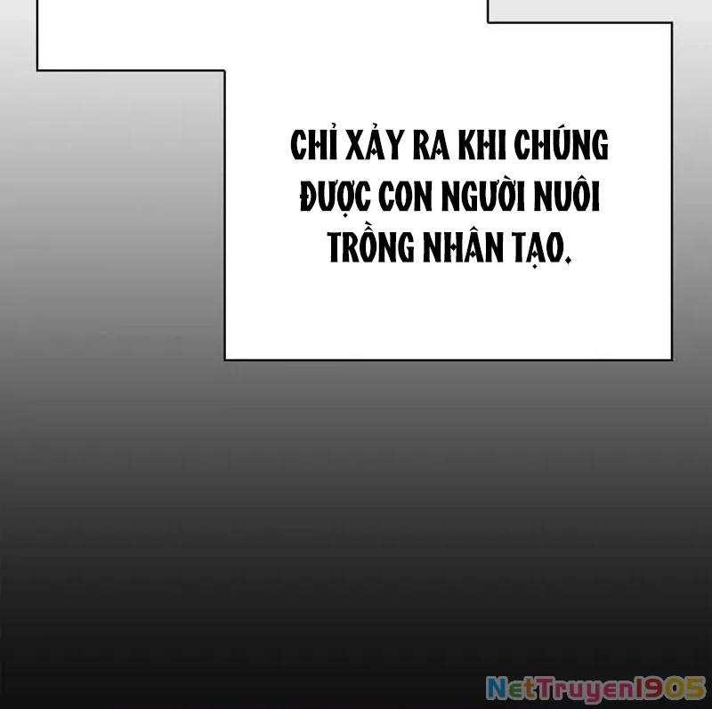 Healer Cấp S Chữa Trị Cho Quái Vật Chapter 4 - 115