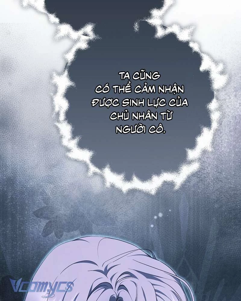 Các Nam Chính Đã Bị Nữ Phụ Cướp Mất Chapter 57 - 115