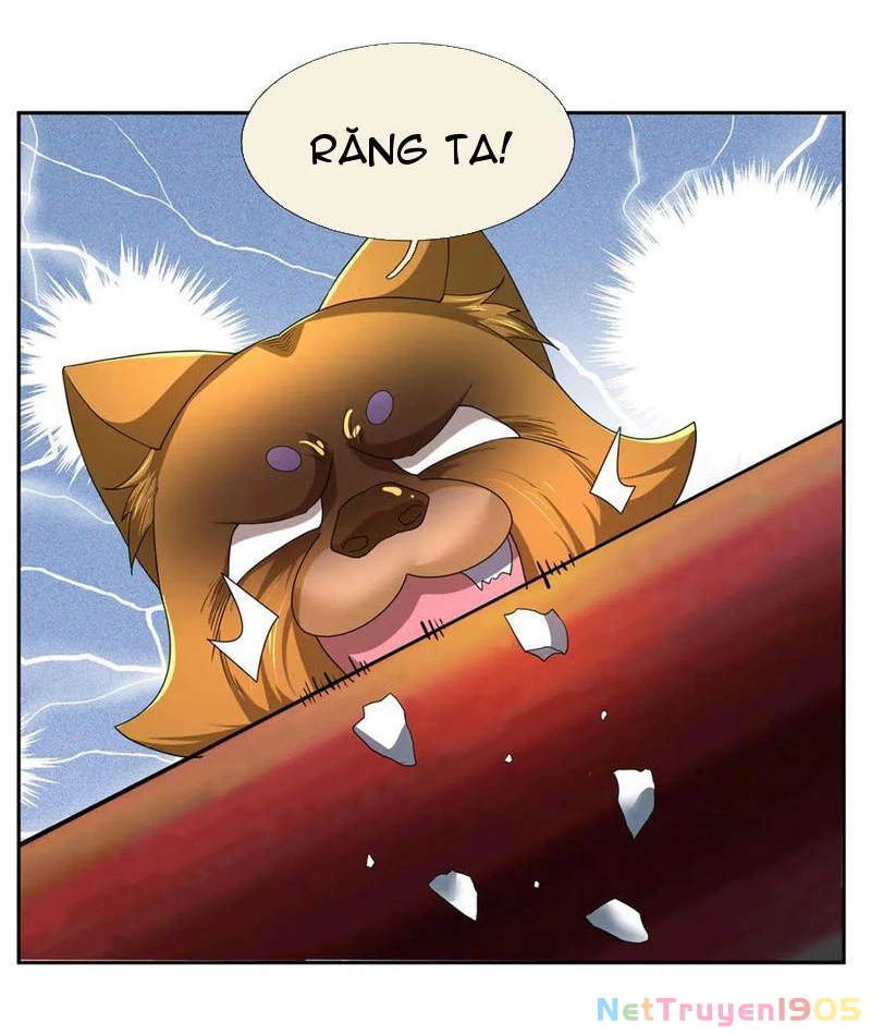 Thu triệu vạn đồ đệ, vi sư vô địch thế gian Chapter 193 - 20