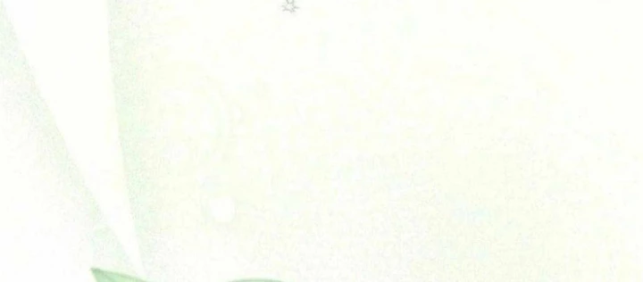 Ma Pháp Quân Chủ Chapter 15 - 62