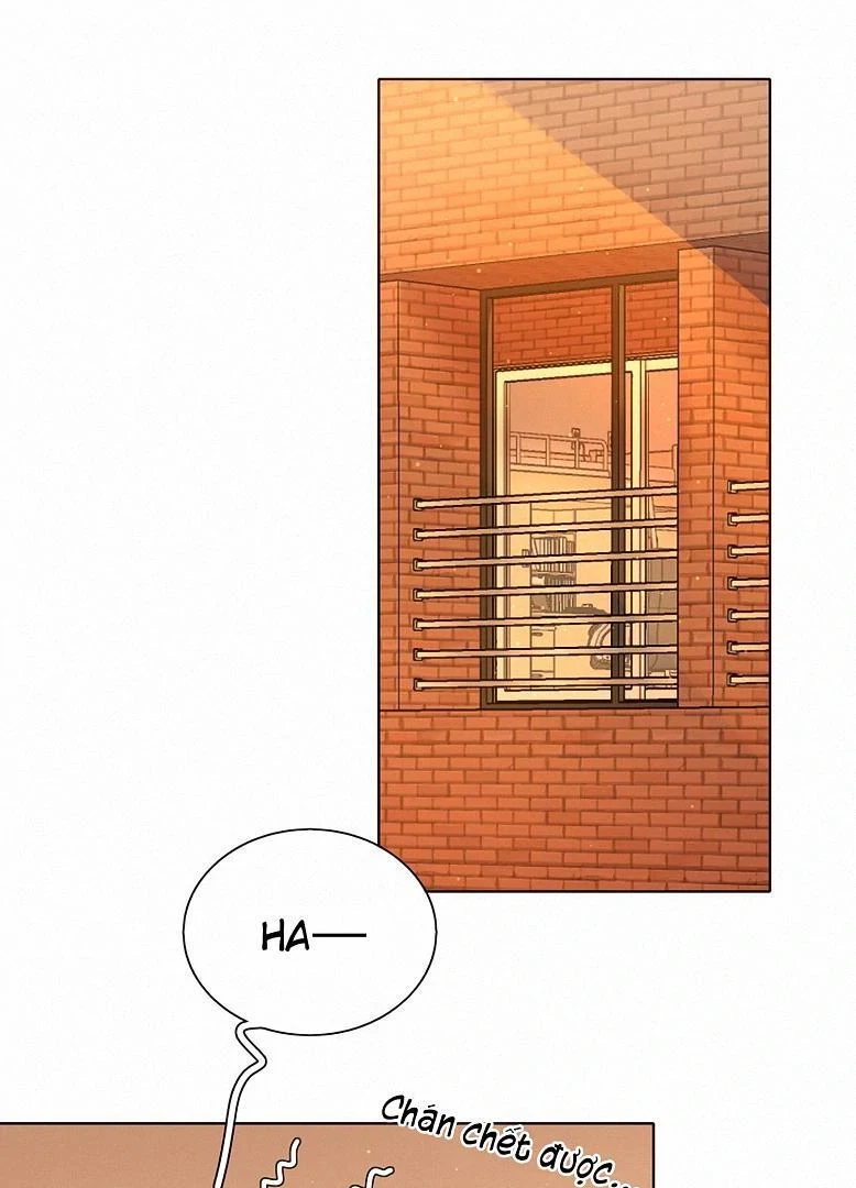 Bên Trong Có Chó Dữ, Xin Cẩn Thận Chapter 13 - 13