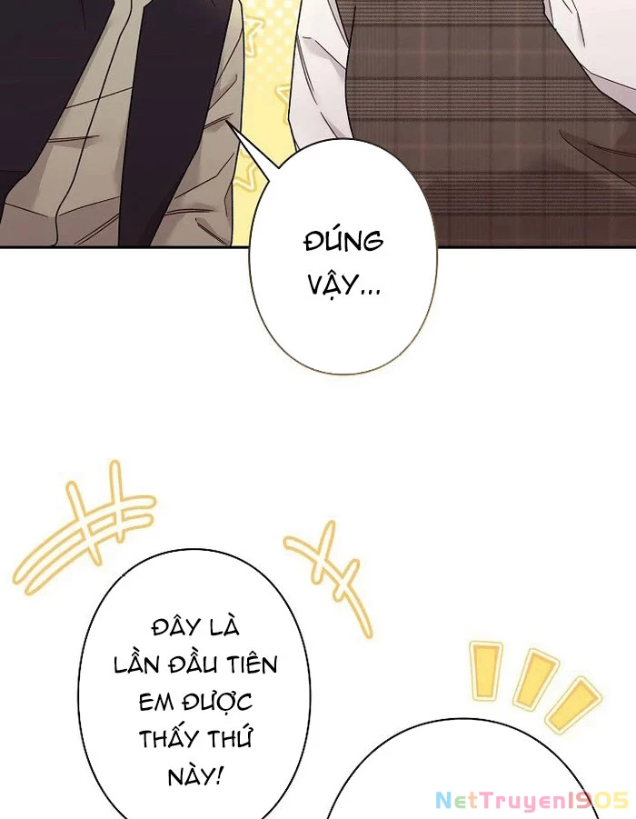 Sự tái sinh của nhà thiết kế tài ba Chapter 24 - 5