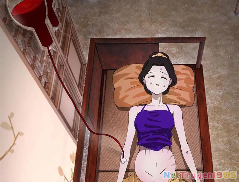 Chàng Rể Mạnh Nhất Lịch Sử Chapter 316 - 15