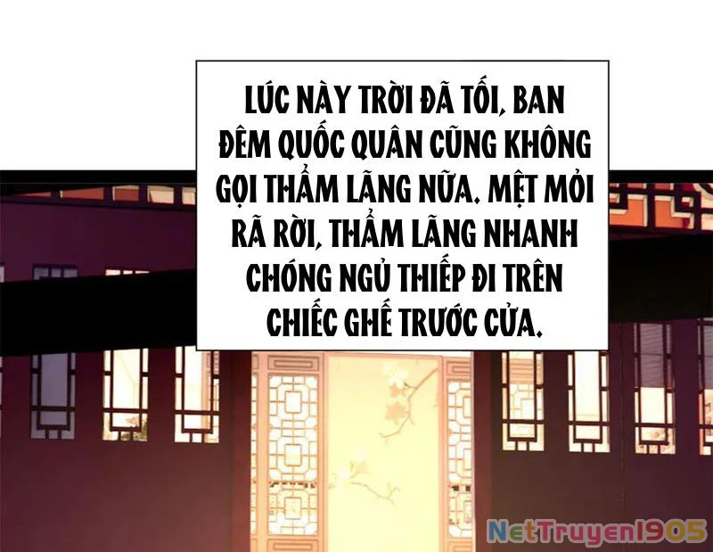 Chàng Rể Mạnh Nhất Lịch Sử Chapter 316 - 55