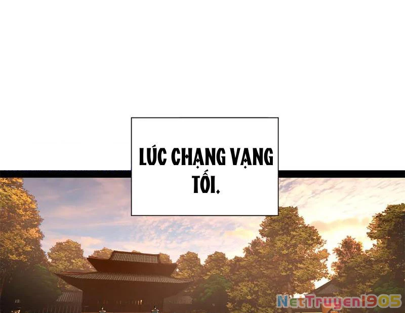 Chàng Rể Mạnh Nhất Lịch Sử Chapter 316 - 77