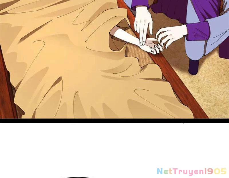 Chàng Rể Mạnh Nhất Lịch Sử Chapter 316 - 95