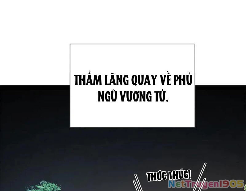Chàng Rể Mạnh Nhất Lịch Sử Chapter 316 - 103