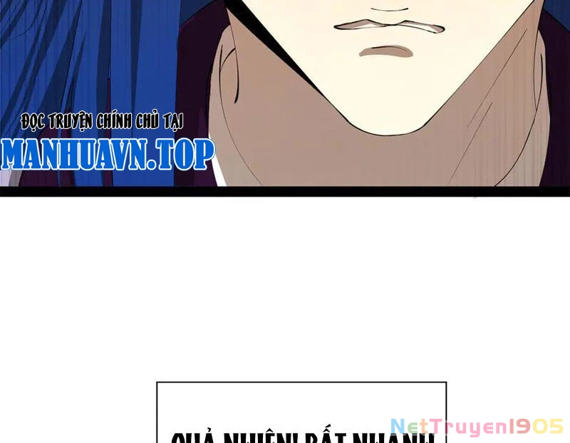 Chàng Rể Mạnh Nhất Lịch Sử Chapter 316 - 113