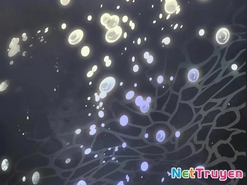 Thế Giới Vô Tội Chapter 11 - 71