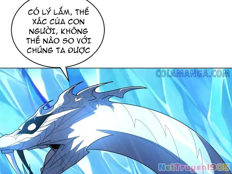 Ta Thành Vương Giả Từ Khắc Kim Chapter 41 - 18