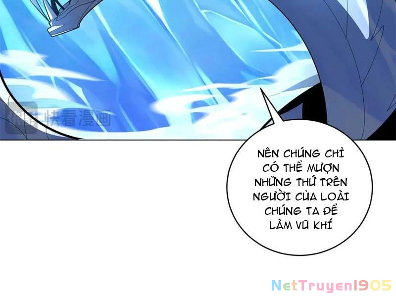 Ta Thành Vương Giả Từ Khắc Kim Chapter 41 - 19