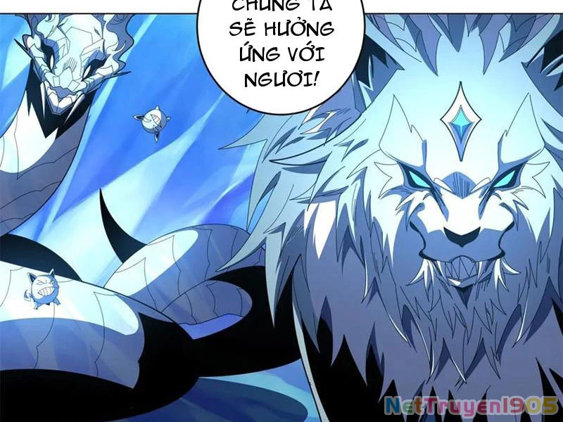 Ta Thành Vương Giả Từ Khắc Kim Chapter 41 - 23