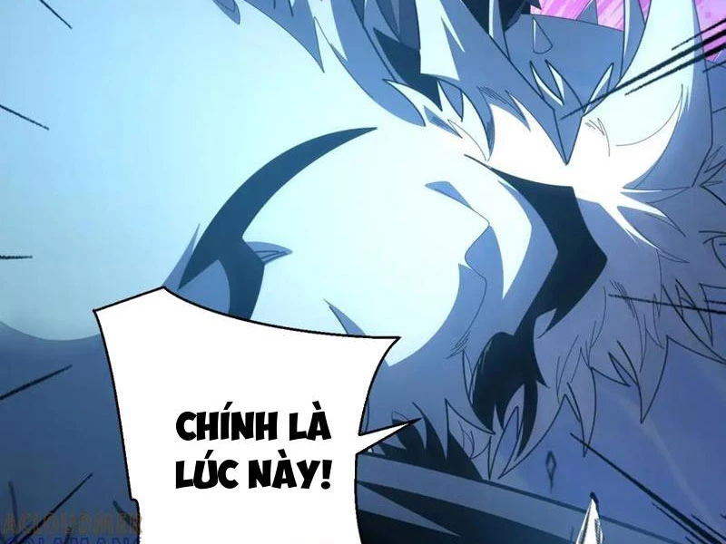 Ta Thành Vương Giả Từ Khắc Kim Chapter 41 - 34