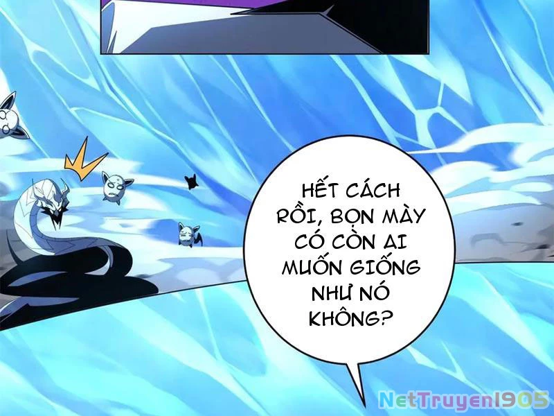 Ta Thành Vương Giả Từ Khắc Kim Chapter 41 - 54