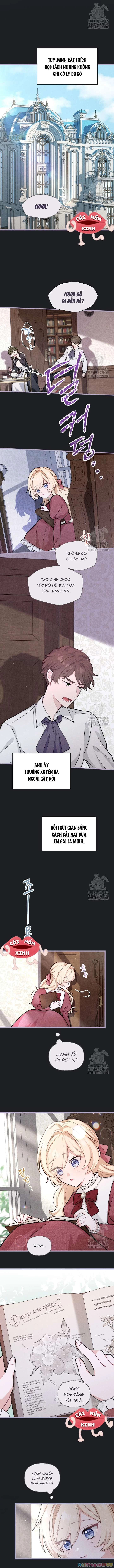 Bệ Hạ, Xin Hãy Quên Tôi Đi Chapter 10 - 6