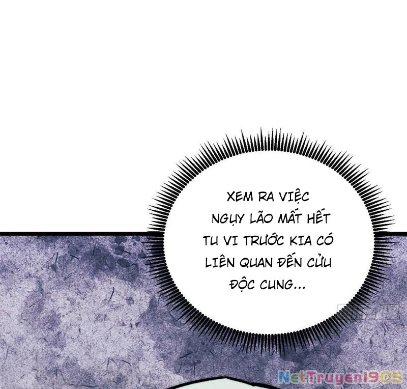 Vạn Cổ Tối Cường Tông Chapter 442 - 3
